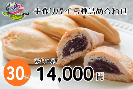 手作りパイ５種の詰め合わせ30個セット