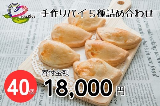 手作りパイ５種の詰め合わせ40個セット